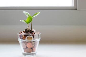 plante som vokser i en potte med penger